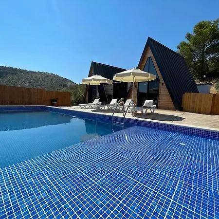 فيلة Bezirgan